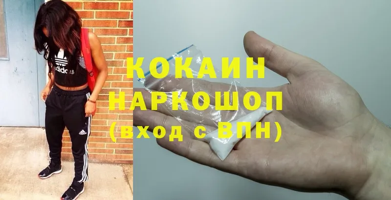 наркота  Болохово  Cocaine FishScale 