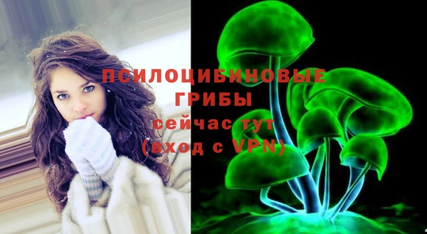 гидропоника Михайловка